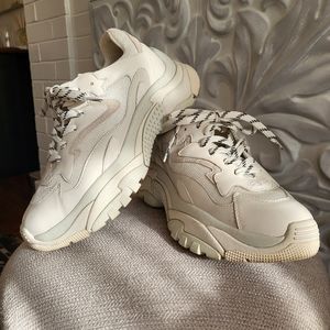 Ash Addict Sneakers